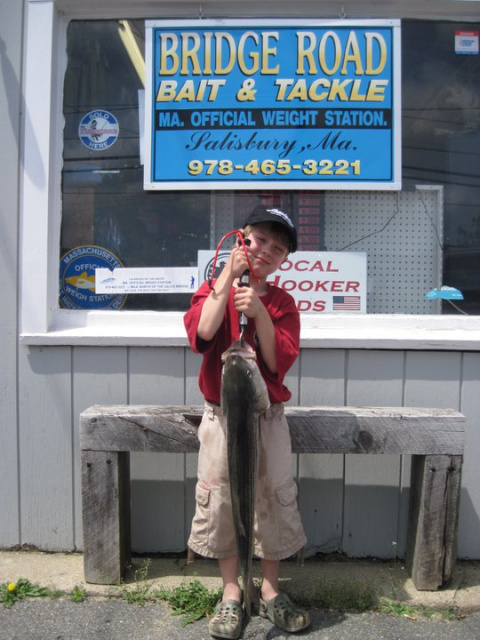 Briidge Road Bait and Tackle